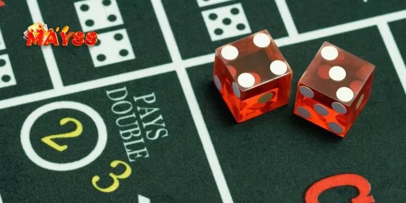 Các loại cược trong tài xỉu đổi thưởng